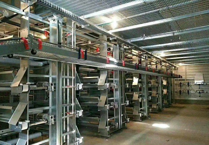 “變頻技術(shù)為蛋禽養(yǎng)殖帶來有力保障”